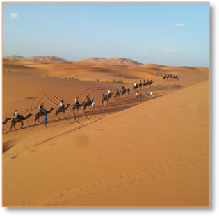 4 day tour from Casablanca to desert and Marrakech