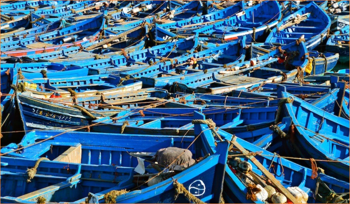 Marrakech Day trip to Essaouira