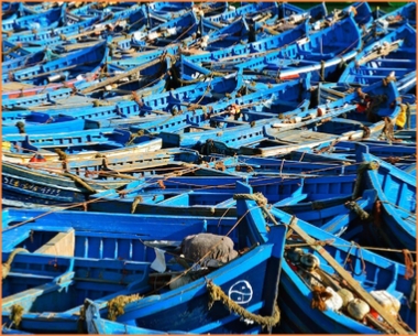 Marrakech Day trip to Essaouira