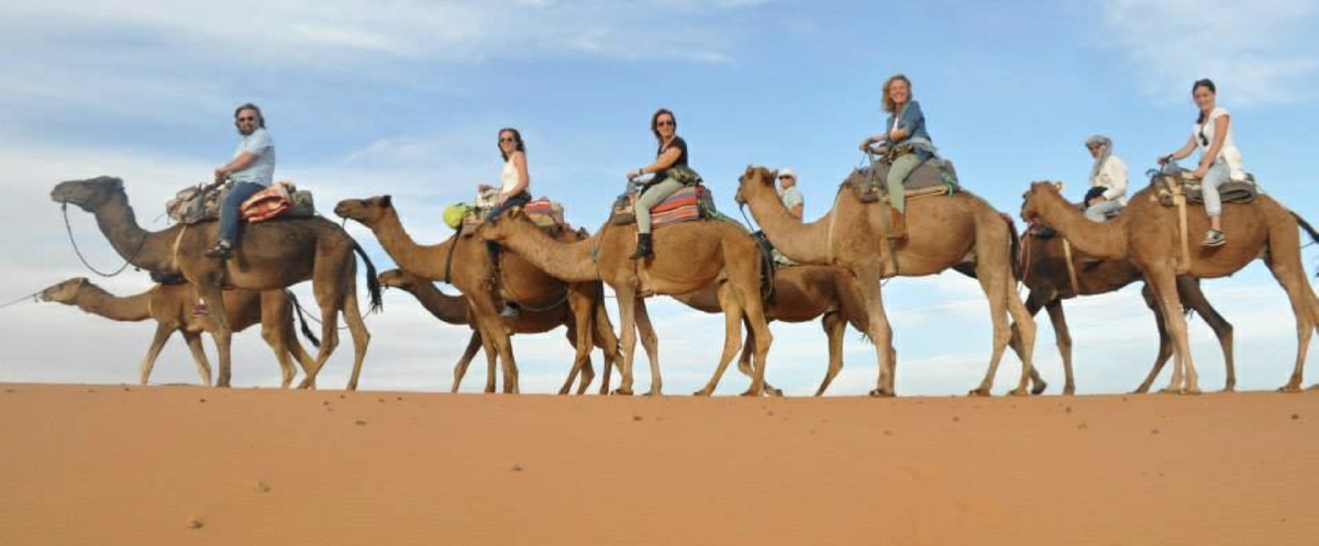 Contact us Oudy Tours - Private Guided Tours - The Morocco Travel Company