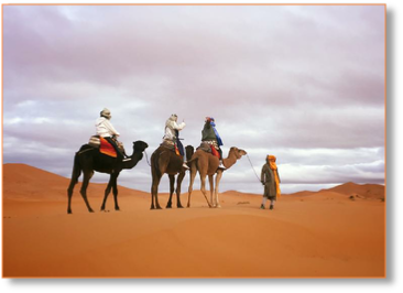Best Camel ride in Erg Chebbi dunes