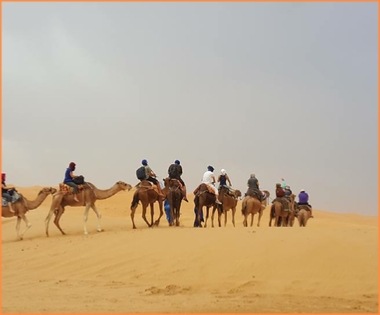 Camel trek in Merzouga dunes