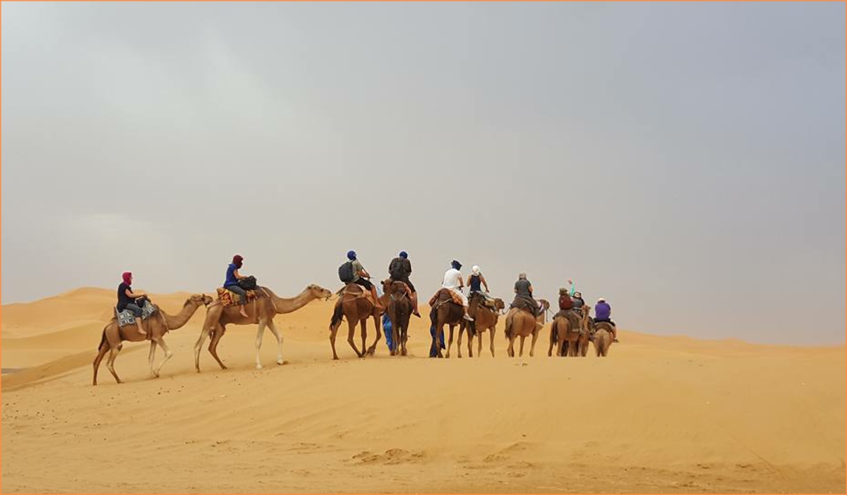 Camel trek in Merzouga dunes