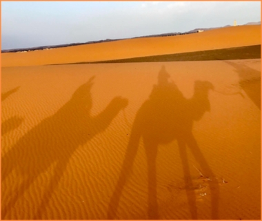 Best Sahara tour from Casablanca