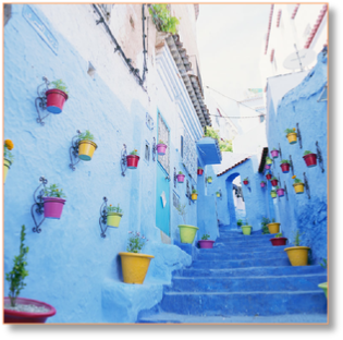 Fes Day trip to explore Chefchaouen