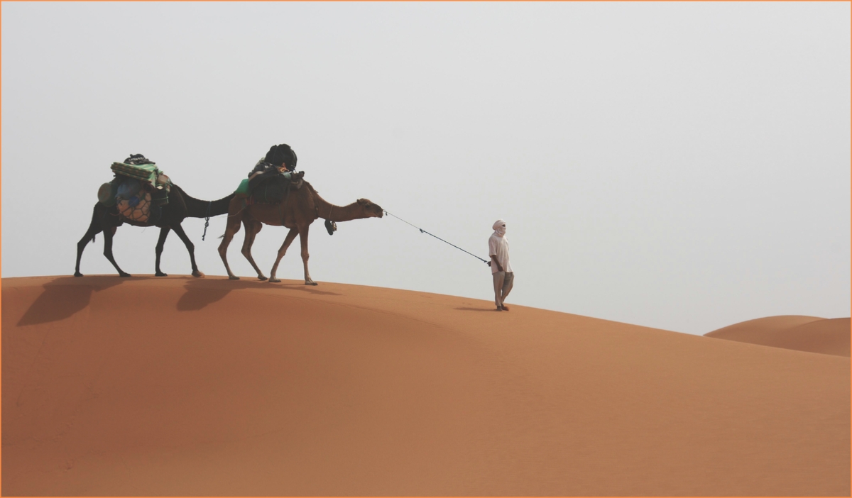 Merzouga Desert and Imperial cities Tour 10 Days