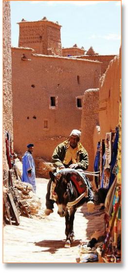 Marrakech to Fes via desert