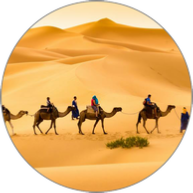 Camel trek in Merzouga dunes
