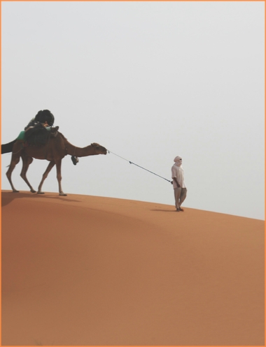 Merzouga Desert and Imperial cities Tour 10 Days